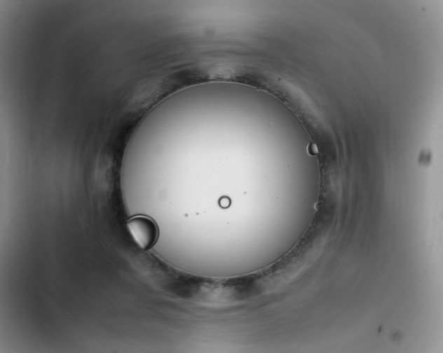 X0000102860311200808181448