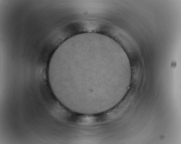 X0000102860313200808181448