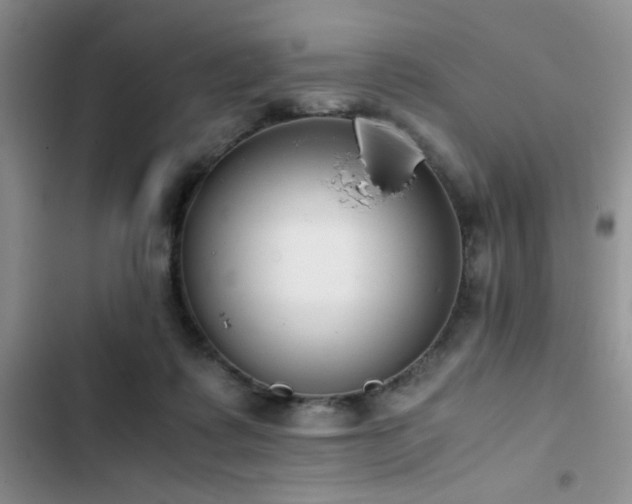 X0000102860315200808181448