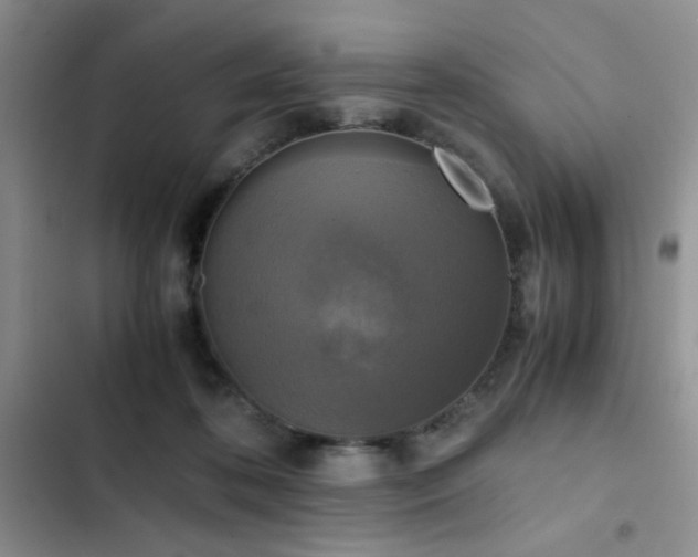 X0000102860316200808181448