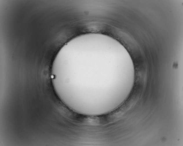 X0000102860317200808181448