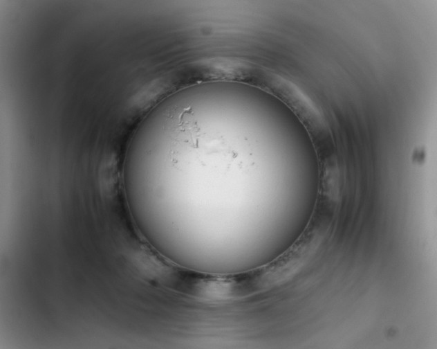 X0000102860318200808181448