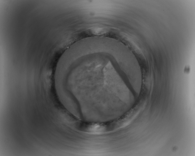 X0000102860319200808181448