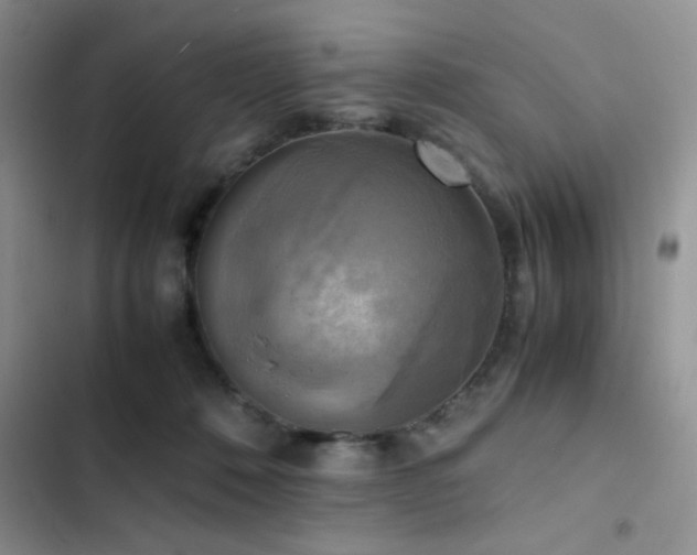 X0000102860320200808181448