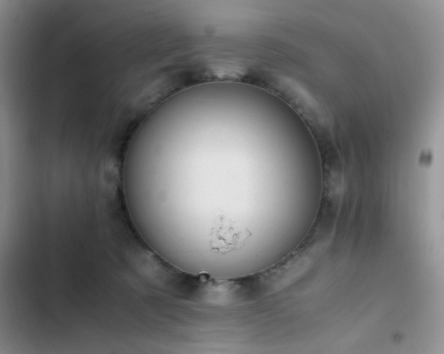 X0000102860321200808181448