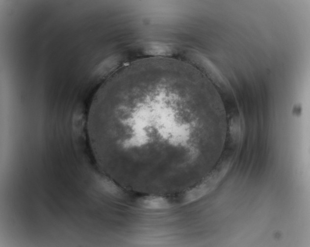 X0000102860322200808181448