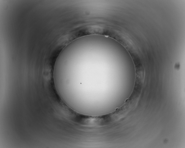 X0000102860323200808181448