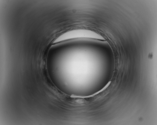 X0000102860324200808181448