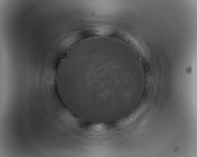 X0000102860325200808181448