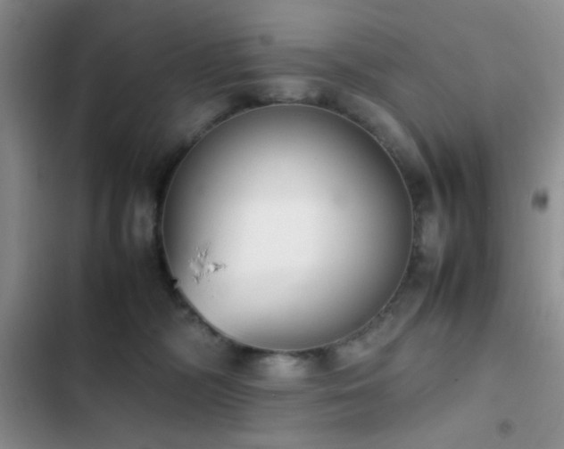 X0000102860326200808181448