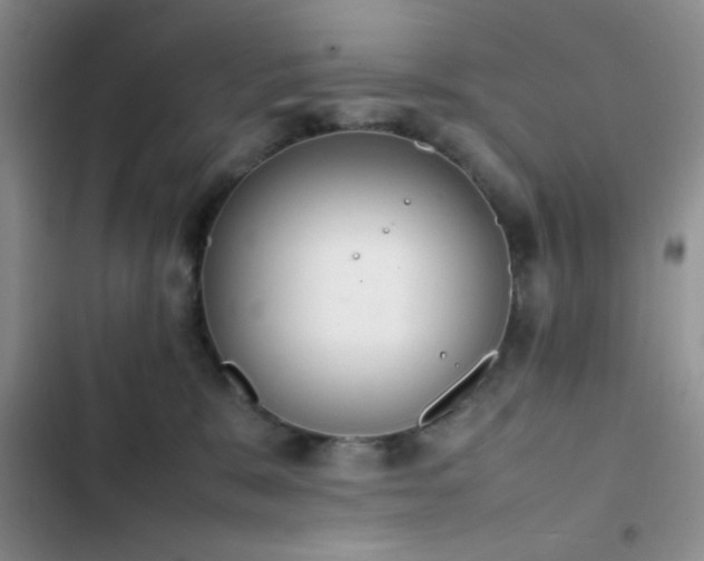 X0000102860327200808181448