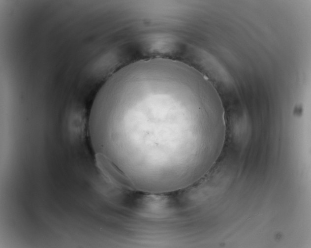 X0000102860328200808181448