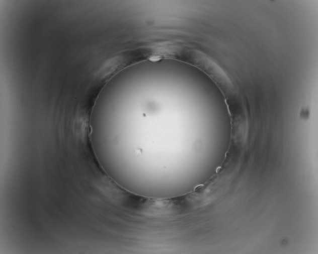 X0000102860329200808181448