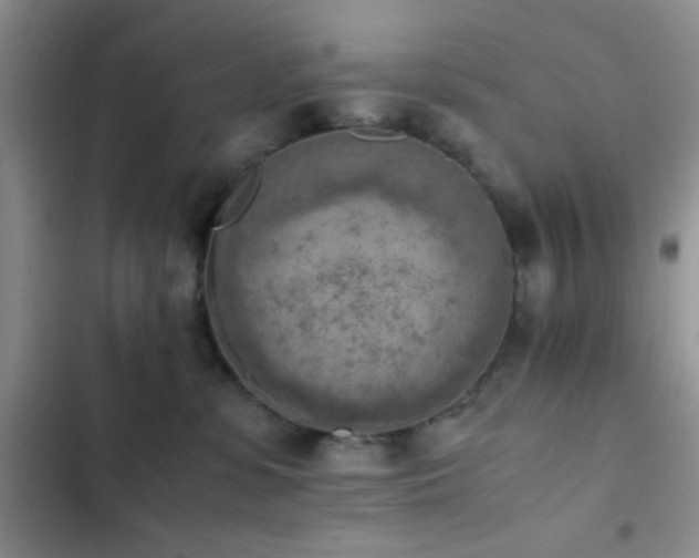 X0000102860331200808181447