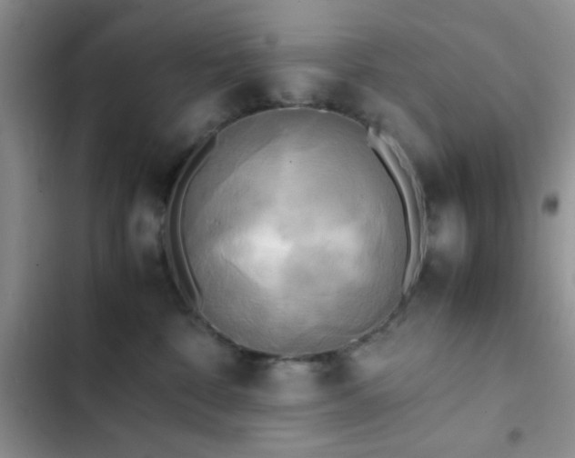 X0000102860332200808181447