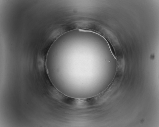 X0000102860333200808181447