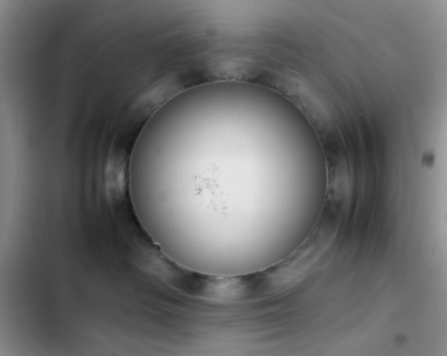 X0000102860334200808181447