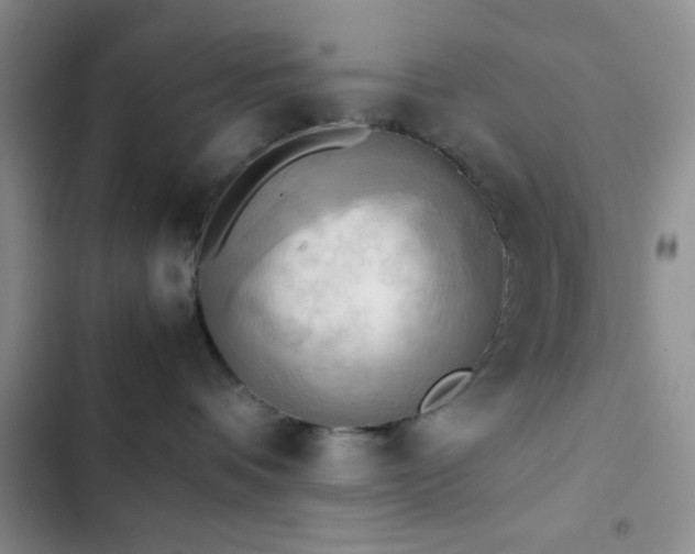 X0000102860336200808181447