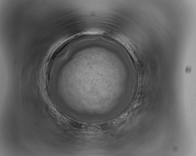 X0000102860337200808181447