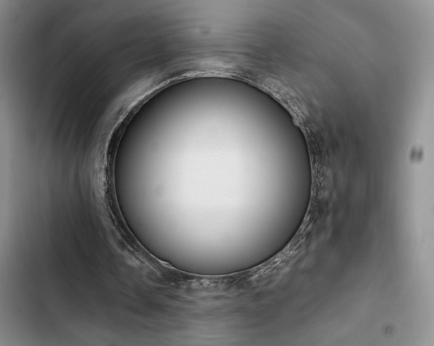 X0000102860338200808181447