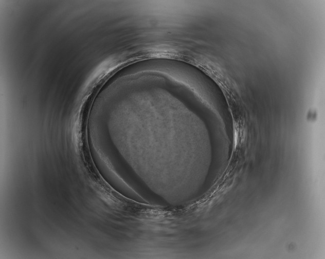 X0000102860339200808181447