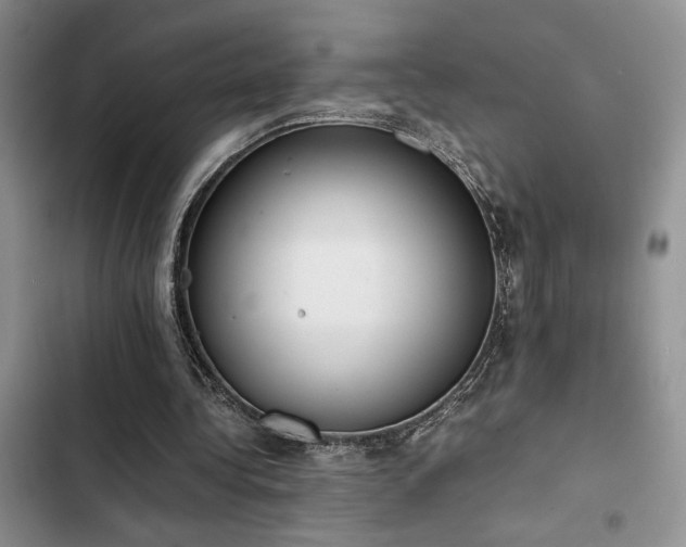 X0000102860340200808181447