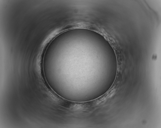 X0000102860341200808181447