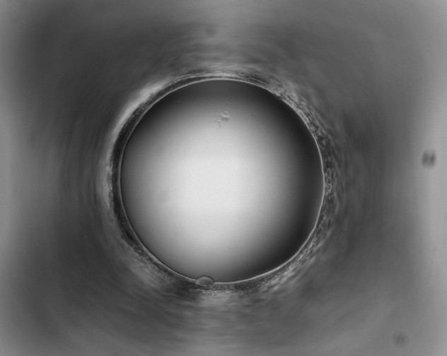 X0000102860342200808181447