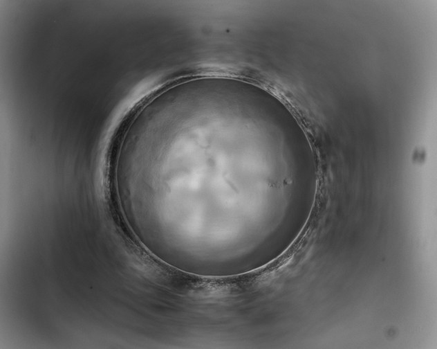 X0000102860343200808181447