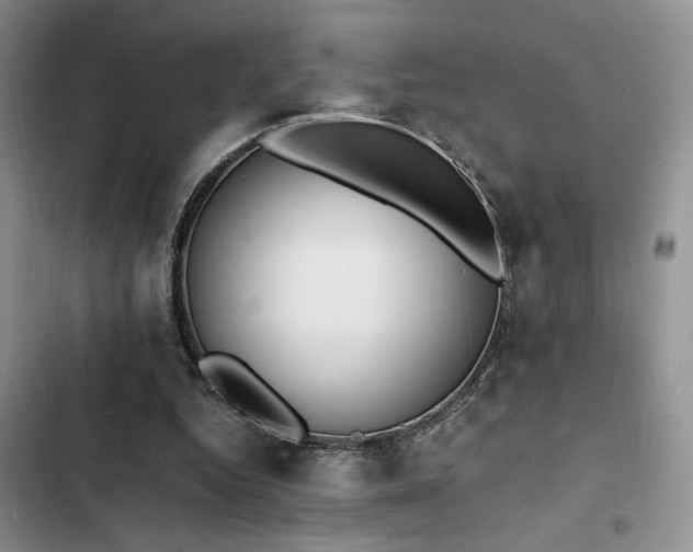 X0000102860344200808181447