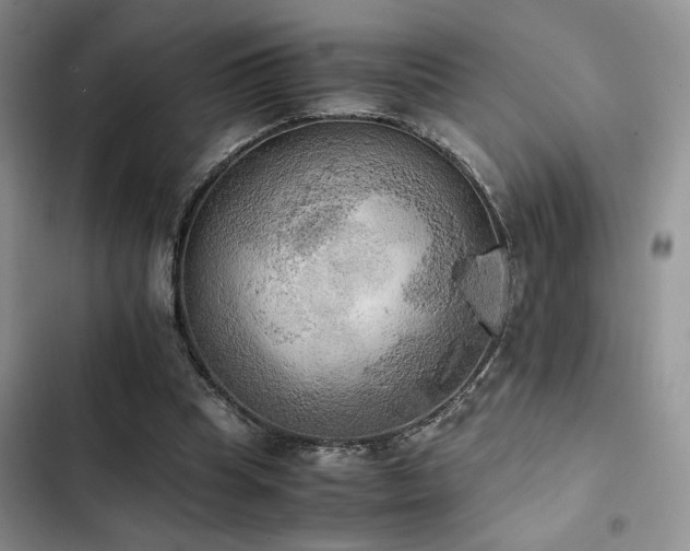 X0000102860345200808181447