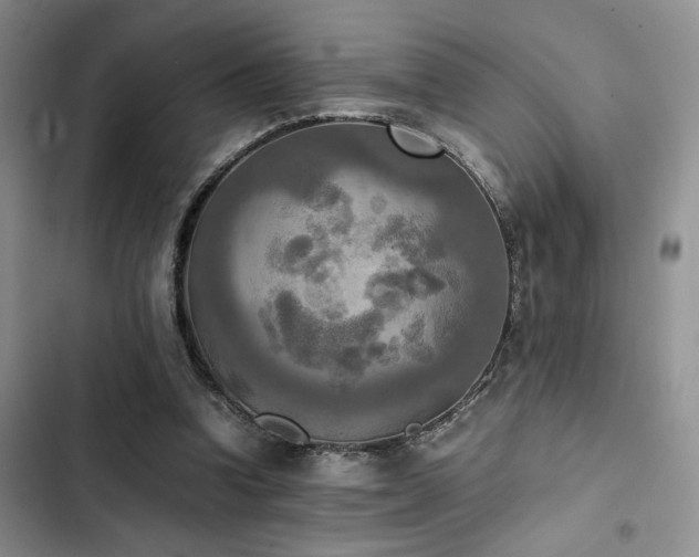 X0000102860346200808181447