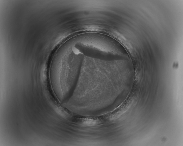 X0000102860347200808181447