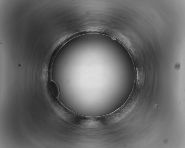 X0000102860348200808181447