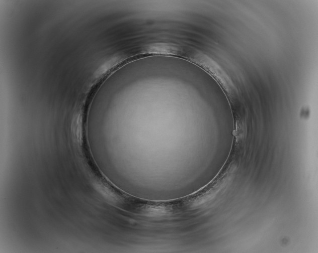 X0000102860349200808181447