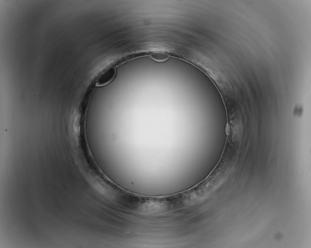 X0000102860350200808181447