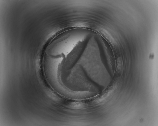 X0000102860351200808181447