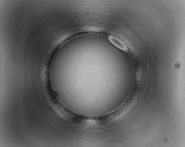 X0000102860352200808181447