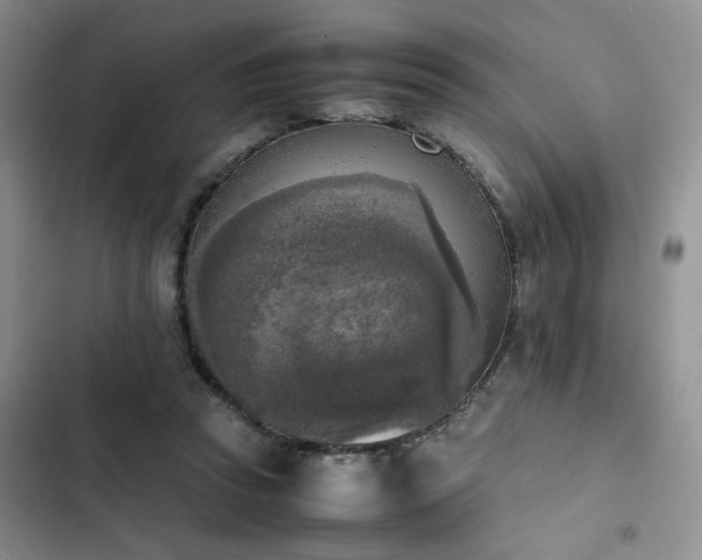 X0000102860353200808181447