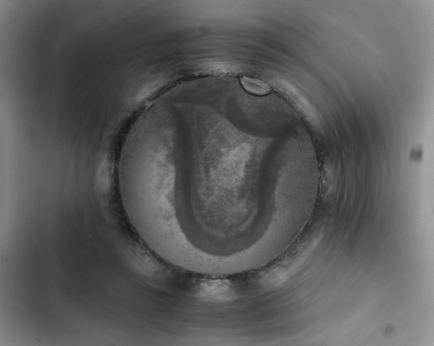 X0000102860355200808181447