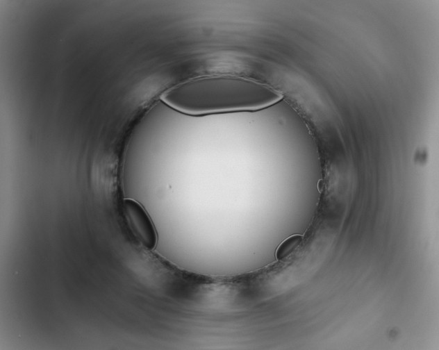 X0000102860356200808181447