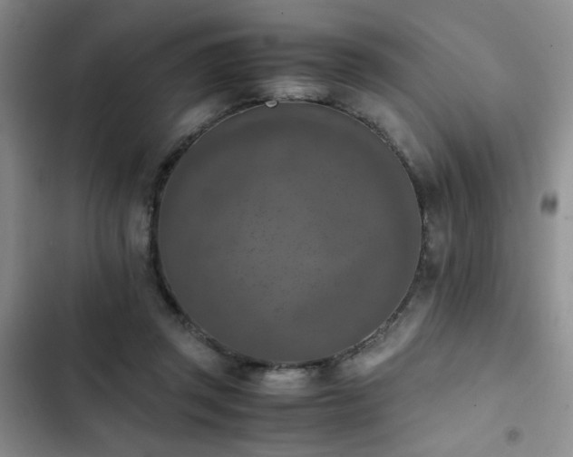 X0000102860357200808181447