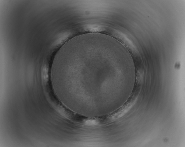 X0000102860358200808181447