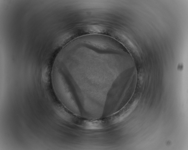 X0000102860359200808181447