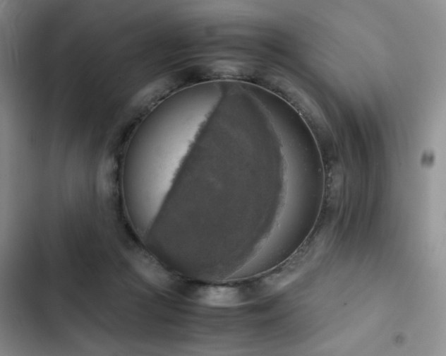 X0000102860361200808181447