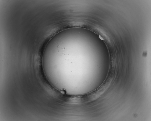 X0000102860362200808181447