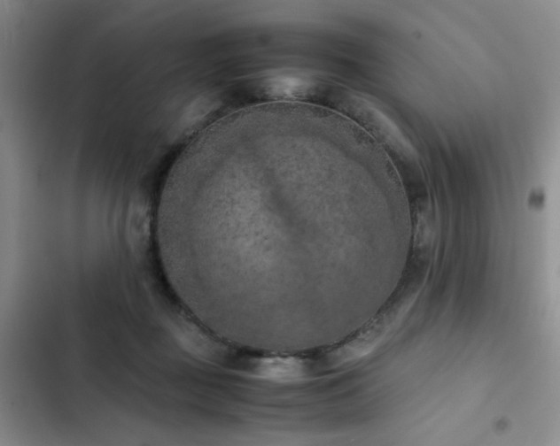 X0000102860363200808181447