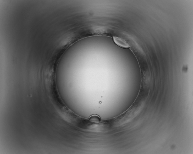 X0000102860364200808181447