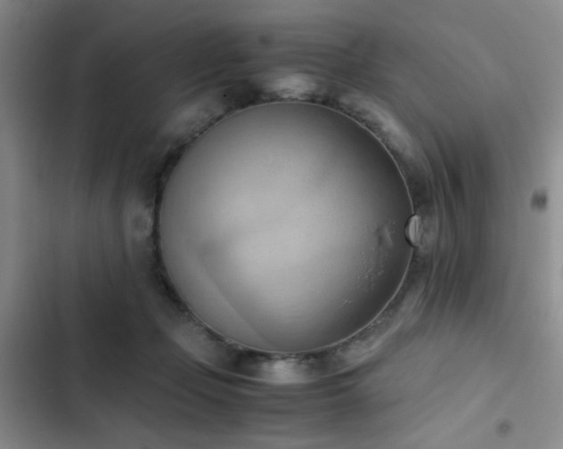 X0000102860365200808181447