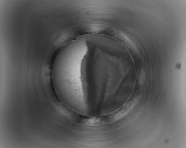 X0000102860366200808181447